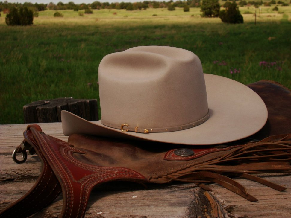 Silver Beaver Hat